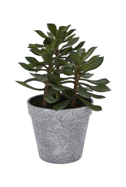 fake plant &pound;4.99
