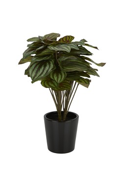 Fake plant &pound;9.99