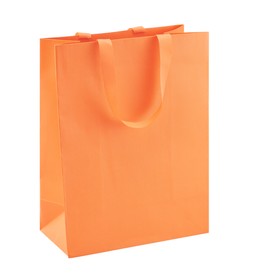 Gifting orange gift bag RRP 1.30