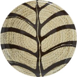 Homesense Brown and Black striped plate