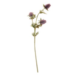 Homesense Colour Drench faux thistle stem &pound;2.99