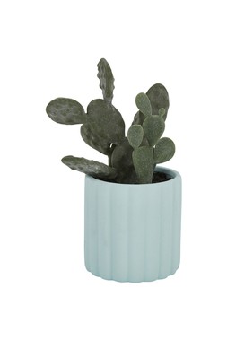 Homesense fake cactus &pound;7.99