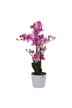 HOMESENSE FAUX ORCHID &pound;