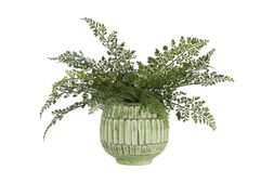 Homesense - Faux Plant, &pound;9.99