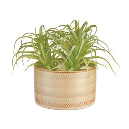 Homesense - Faux Plant with Pot, &pound;9.99