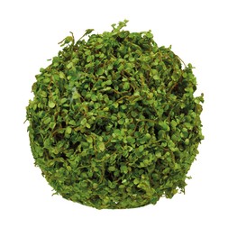 Homesense - Faux Topiary Ball £3.99