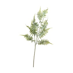 Homesense - Fern Branch £2.99