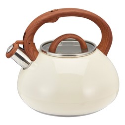 Homesense Gifting off white induction kettle &pound;27.99