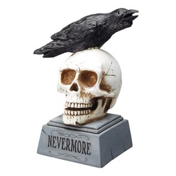 Homesense Halloween skull with crow