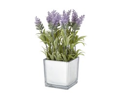 Homesense Lavander &pound;7.99