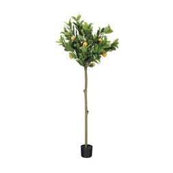 Homesense - Lemon Tree, &pound;59.99