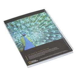 Homesense - peacock Notebook, &pound;5.99 (2)