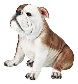 opulent & cosy bulldog 32 ONLINE