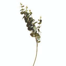 Eucalyptus Branch &pound;1.99