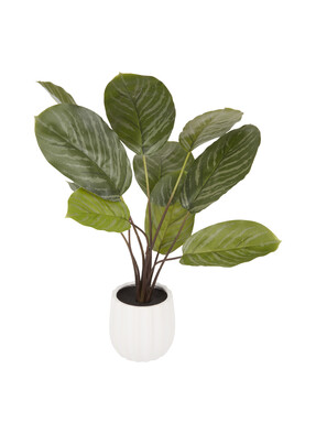 Homesense small fake plant £12.99 ( RRP £) from Homesense