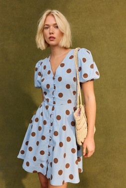 Blue & Brown Polka Dot Mini Dress