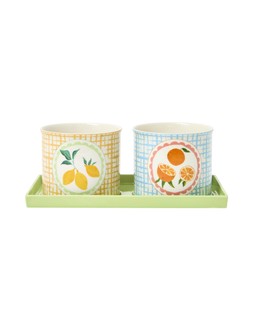 Fruta Ceramic Plant Pots Set of Two £32.50