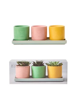 Punta Ceramic Plant Pots Set of Three