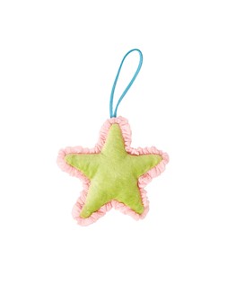Oliver Bonas Green Issey Star £6.50