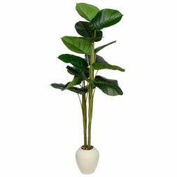 B&M HOME SS26 // STATEMENT HOME - LIMITED TIME ONLY // LARGE PLANT 150CM // £40 //