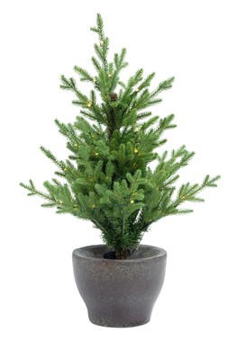 Norway Potted Tree Pre-Lit Outdoor tree 90cm