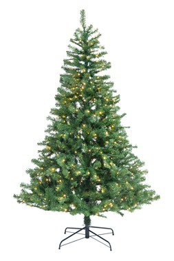 Royal Fir 8ft Pre-Lit tree
