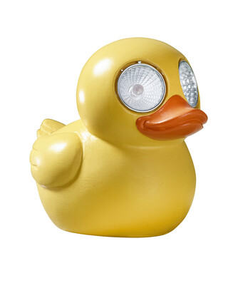 Outdoor and solar Lighting