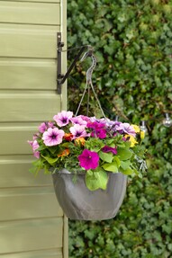 https://www.prshots.de/contents/archives/3552/1530/images/thumb350x287_auto/dobbies-garden-centres_2-for-gbp15-spring-hanging-pots-lifestyle_b1462_thumb.jpg
