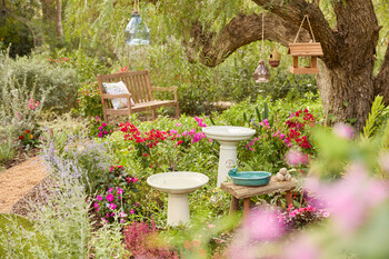 https://www.prshots.de/contents/archives/3552/1530/images/thumb350x287_auto/dobbies-garden-centres_somerset-bench-gbp199_thumb.jpg