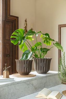 KEW FLUTED TULIP MOCHA PLANTER (Availble in 2 sizes) &pound;49.99 - &pound;69.99