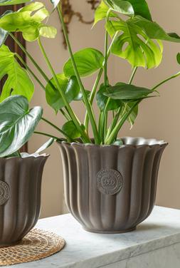 KEW FLUTED TULIP MOCHA PLANTER H26CM D32CM &pound;69.99