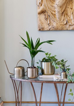 KEW MATT BRASS PLANT MISTER &pound;24.99, KEW MATT BRASS WATERING CAN &pound;44.99 & KEW MATT BRASS HANGING PLANTER SMALL WITH HOOK &pound;27.99 - &pound;39.99.
