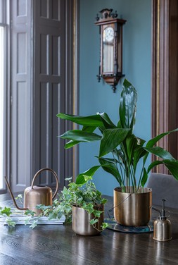 KEW MATT COPPER PLANT MISTER &pound;24.99, KEW MATT COPPER WATERING CAN &pound;44.99 & KEW MATT COPPER HANGING PLANTER SMALL WITH HOOK &pound;27.99 - &pound;39.99