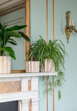 KEW ORGANIC RIPPLE BONE PLANTER &pound;19.99 - &pound;34.99