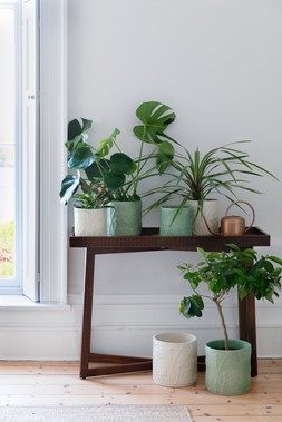 KEW STONEWARE MEADOW PLANTERS IN IVORY:OLIVE &pound;12.99- &pound;64.99