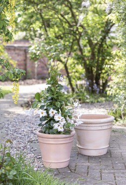 OUTDOOR BRAMPTON TERRACOTTA PLANTER - M &pound;39.99 : L &pound;49.99