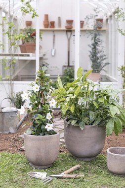 OUTDOOR CARTMEL MOCHA TERRACOTTA PLANTER SET OF 3 &pound;65.97.