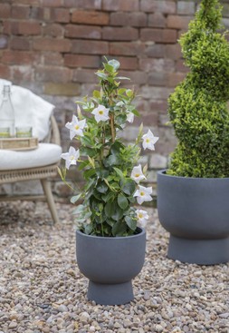 OUTDOOR DALLAS CHARCOAL FOOTED PLANTER H24CM D24CM &pound;19.99
