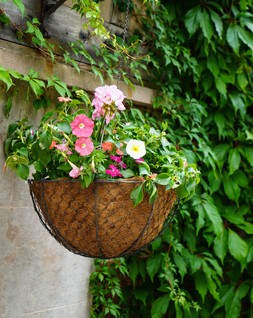 OUTDOOR HANGING WIRED NETTED BASKET ZINC &pound;29.99