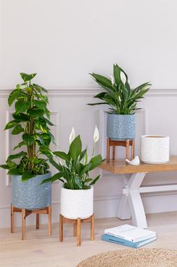 ASPEN FLOWER PLANTERS £44.99 -£59.99