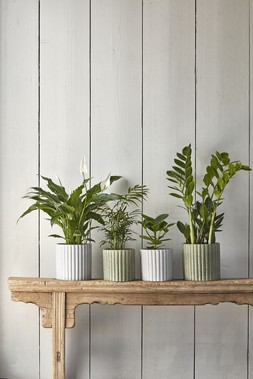 Azalea Stone Ribbed Speckle Grey Planter H15.5cm D15.5cm &pound;14.99