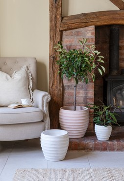 Beatrice Terracotta Planter H35cm D35cm &pound;59.99