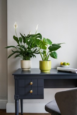 Botanist Ivory Leaf Embossed Planter H15cm D17cm &pound;14.99