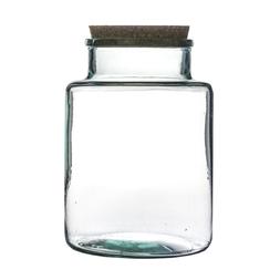 Bottle Shape Large Terrarium Diy Kit H26.5cm W19cm &pound;39.99