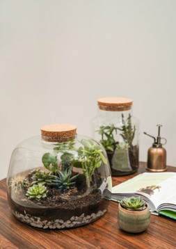 Bottle Shape Medium Terrarium Diy Kit H22.5cm W14cm &pound;29.99