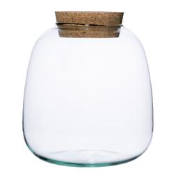 Bowl Shape Medium Terrarium Diy Kit H20cm D19cm &pound;39.99