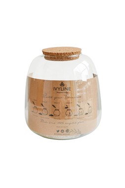 Bowl Shape Medium Terrarium DIY Kit H20cm D19cm &pound;39.99