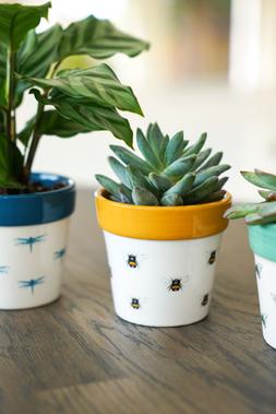 Cacti Planter Bumble Bee H7cm D7cm &pound;4.99