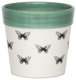 Cacti Planter Butterfly H7cm D7cm &pound;4.99, H10cm D10cm &pound;6.99, 13cm D13cm &pound;8.99