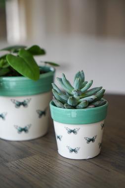 Cacti Planter Butterfly H7cm D7cm &pound;4.99
